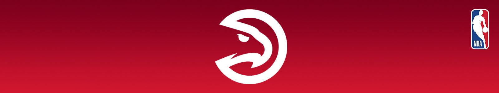 Atlanta Hawks - POINT 3 Basketball