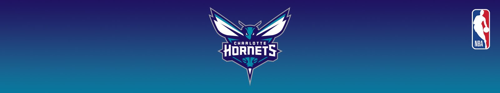 Charlotte Hornets - POINT 3 Basketball