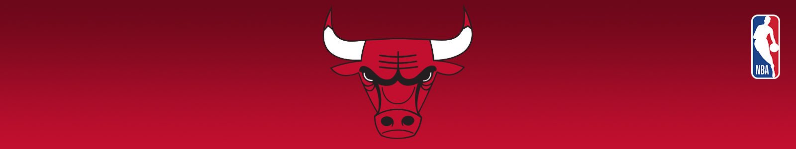 Chicago Bulls - POINT 3 Basketball