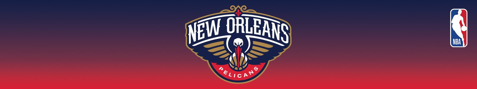 New Orleans Pelicans - POINT 3 Basketball